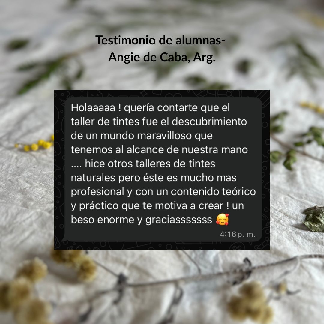 PRE-VENTA Curso online tintes naturales - Imagen 4